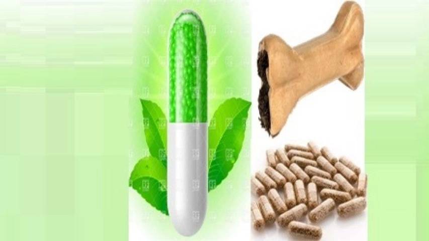 پخش پوکه کپسول خالی در تهران پخش پوکه کپسول خالی در تهران